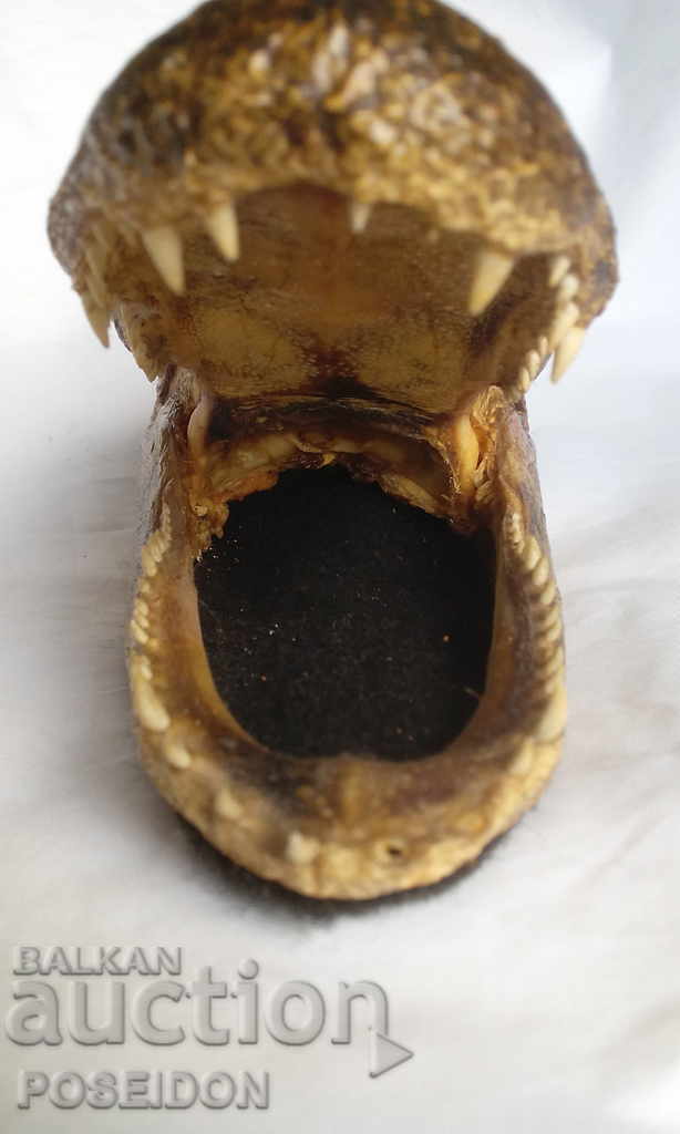 ΑΝΑΜΝΗΤΙΚΟ ΑΓΑΛΜΑΤΟ Φιγούρα ΚΡΟΚΟΔΙΛΟΥ ΚΕΦΑΛΗΣ - 5 ΑΝΑΜΝΗΤΙΚΟ ΑΓΑΛΜΑΤΟ Φιγούρα ΚΡΟΚΟΔΙΛΟΥ ΚΕΦΑΛΗΣ - 5