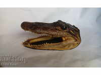 CAP CROCODIL FIGURA STATUETA SUVENIR