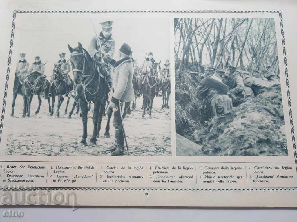 Auction N ° -5 THE GREAT WAR IN PAINTINGS 1915 PSV, PHOTO, PHOTOS Auction N ° -5 THE GREAT WAR IN PAINTINGS 1915 PSV, PHOTO, PHOTOS