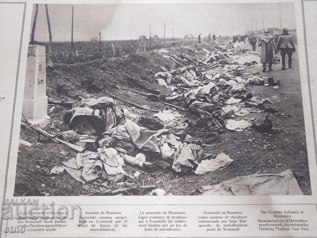 N ° -23 THE GREAT WAR IN PAINTINGS 1917 PSV, PHOTO, PHOTOS - 6 N ° -23 THE GREAT WAR IN PAINTINGS 1917 PSV, PHOTO, PHOTOS - 6