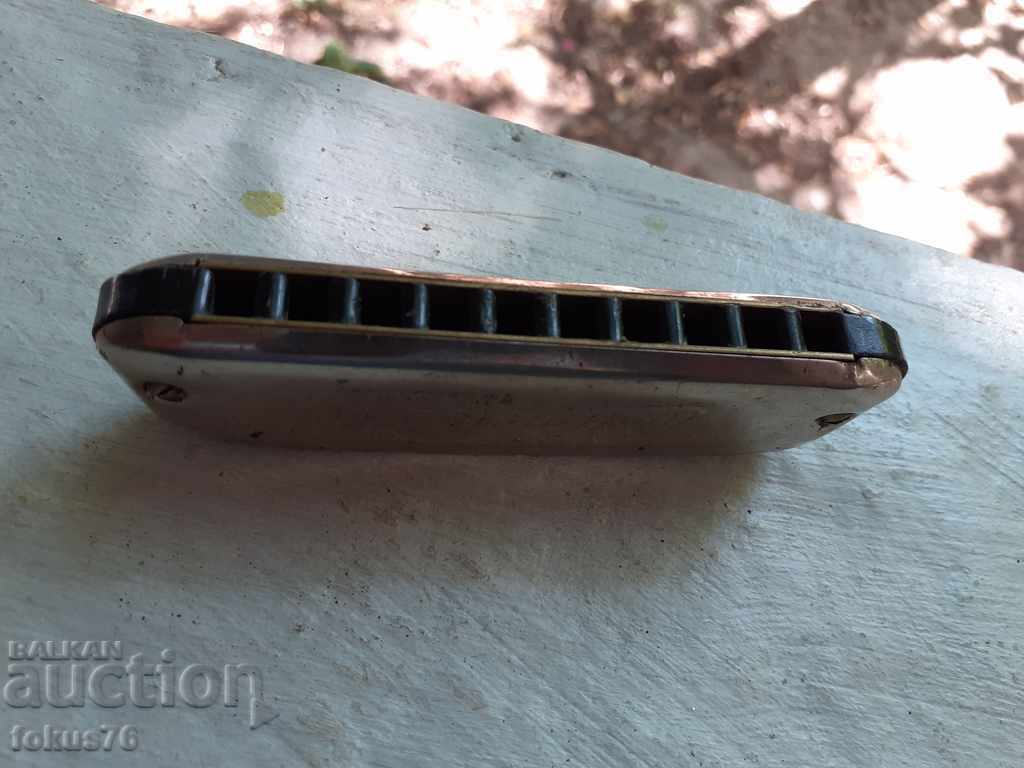 Small collector's branded accordion Weltmeister - 5 Small collector's branded accordion Weltmeister - 5