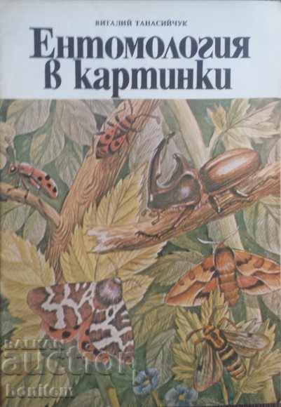 Entomologia în imagini - Vitaly Tanasiychuk
