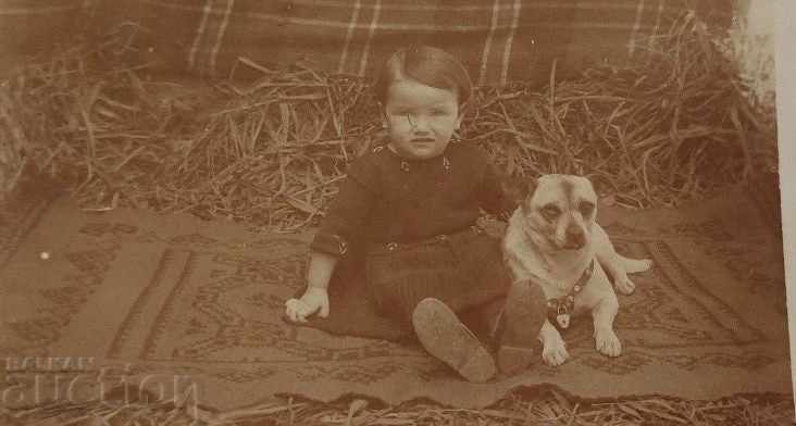 Auction 1923 CHILD DOG OLD PHOTO PHOTO KINGDOM OF BULGARIA Auction 1923 CHILD DOG OLD PHOTO PHOTO KINGDOM OF BULGARIA
