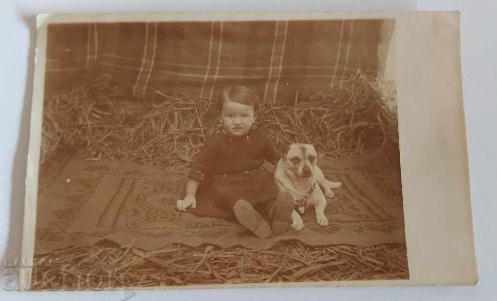 Delivery of 1923 CHILD DOG OLD PHOTO PHOTO KINGDOM OF BULGARIA Delivery of 1923 CHILD DOG OLD PHOTO PHOTO KINGDOM OF BULGARIA