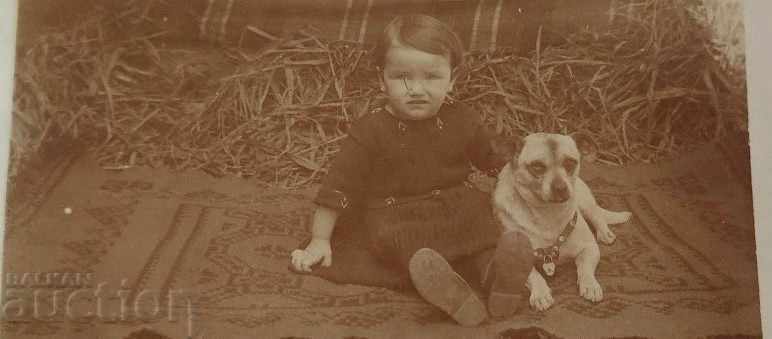 1923 CHILD DOG OLD PHOTO PHOTO KINGDOM OF BULGARIA