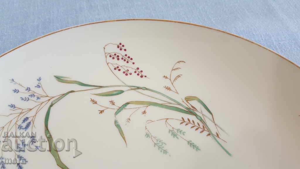 Δημοπρασία Μεγάλο οροπέδιο πορσελάνης - Βαυαρία Δημοπρασία Μεγάλο οροπέδιο πορσελάνης - Βαυαρία