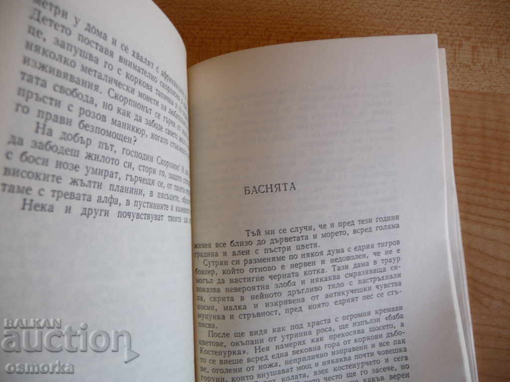 Auction Formal wear - Bogomil Nonev wears a tuxedo shirt Auction Formal wear - Bogomil Nonev wears a tuxedo shirt