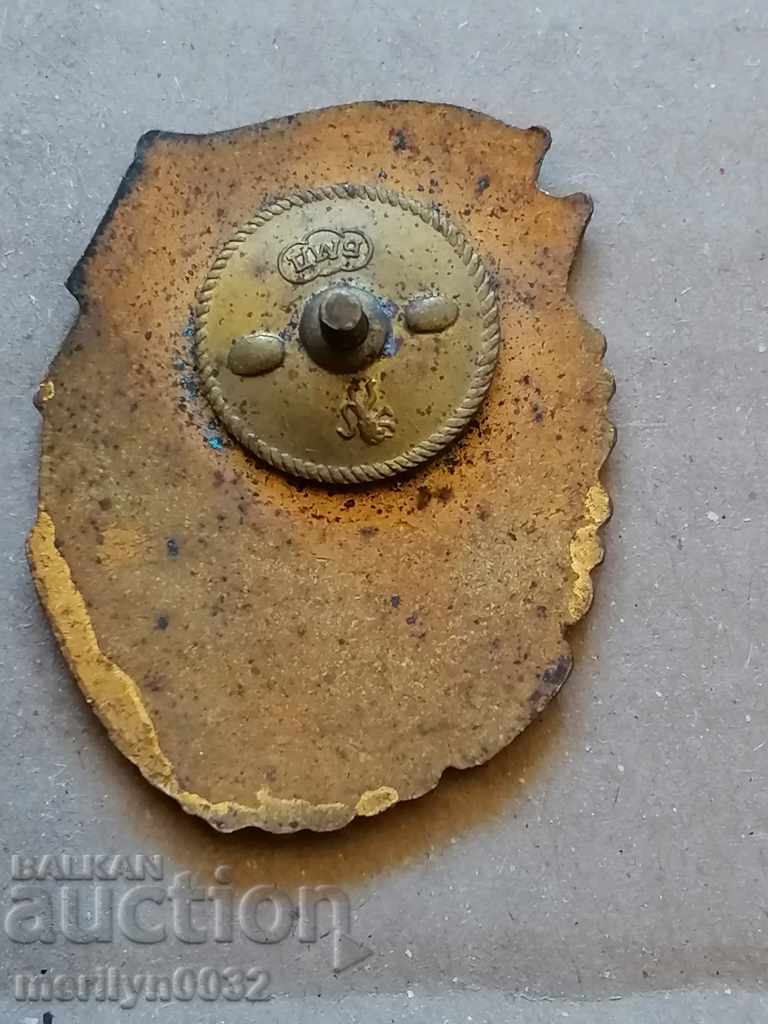 Delivery of Combat Badge and Political Training Badge Delivery of Combat Badge and Political Training Badge