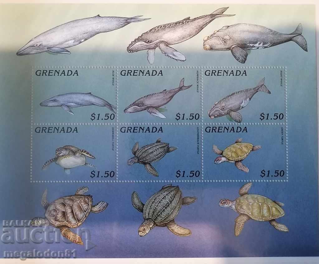 Grenada - ocean fauna, whales and sea turtles