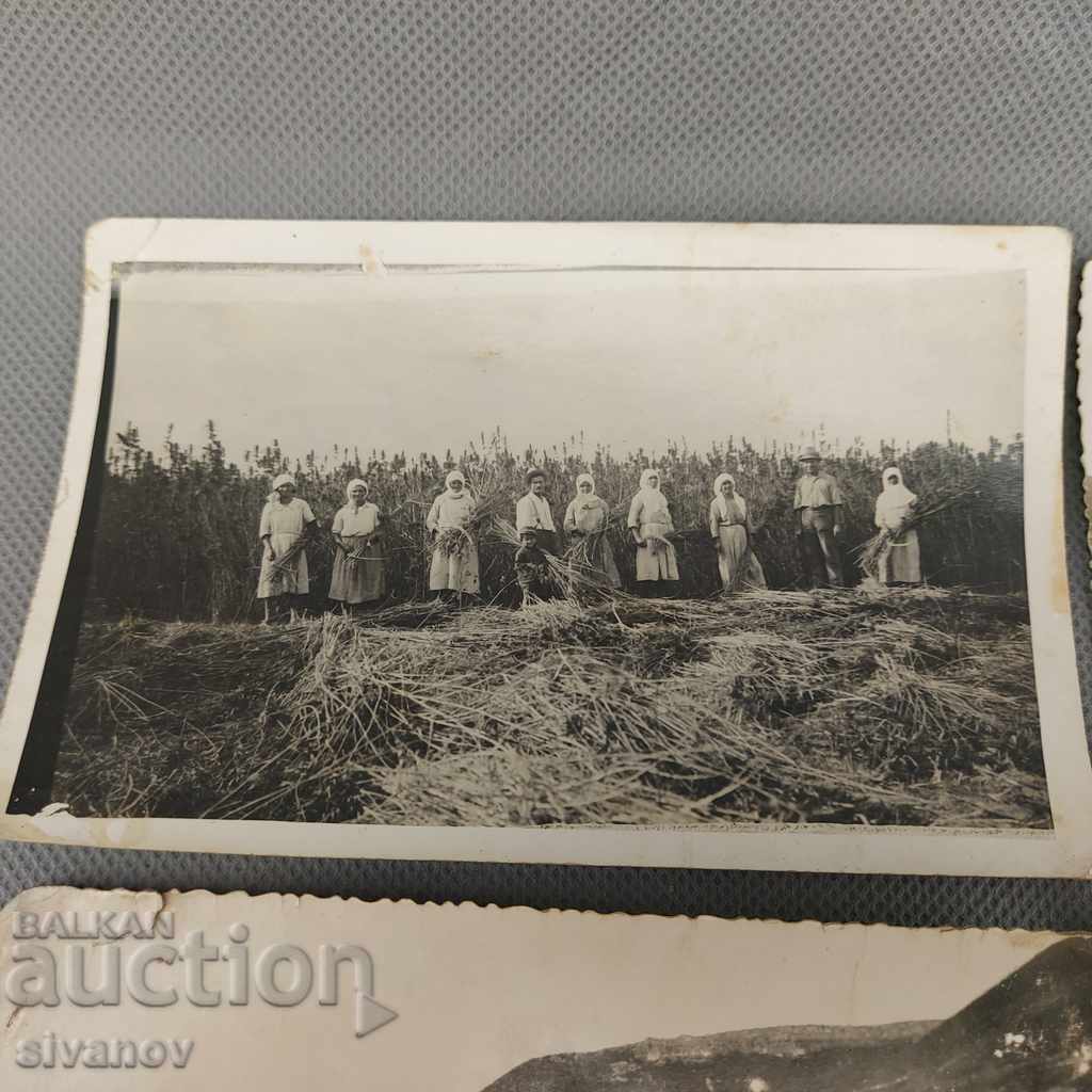 Παλιές φωτογραφίες καλλιέργειας κάνναβης, βούρτσες, βούρτσες B0149 με τιμή 25.00 BGN | € 12.78