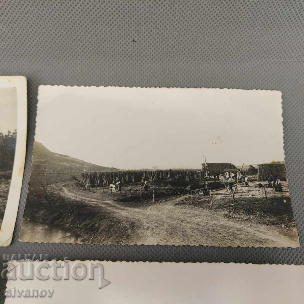 Παλιές φωτογραφίες καλλιέργειας κάνναβης, βούρτσες, βούρτσες B0149 - 5