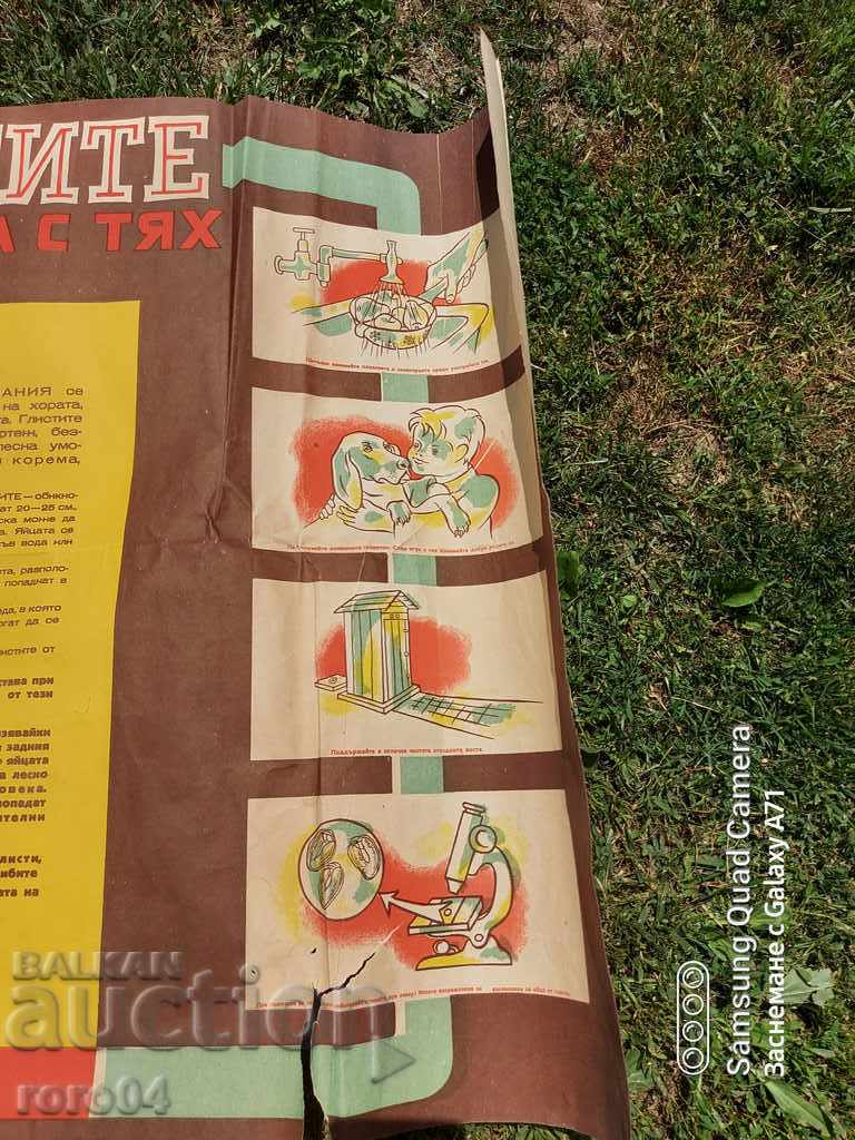 ΑΦΙΣΑ - 5 ΑΦΙΣΑ - 5