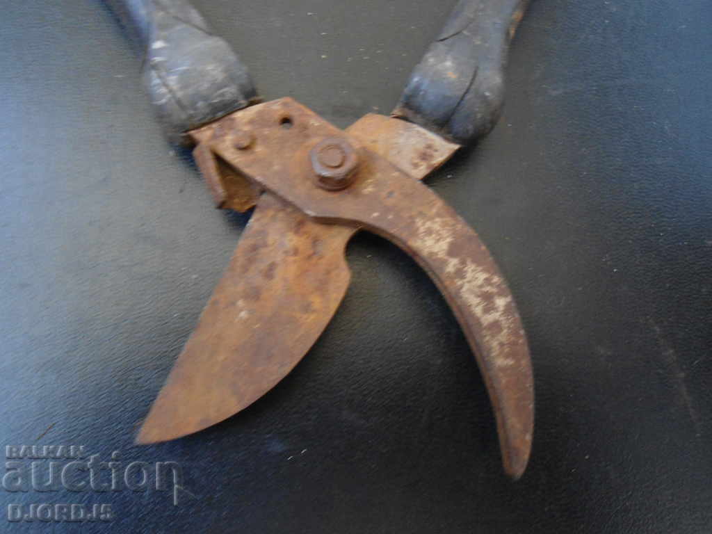 Auction Old scissors Auction Old scissors