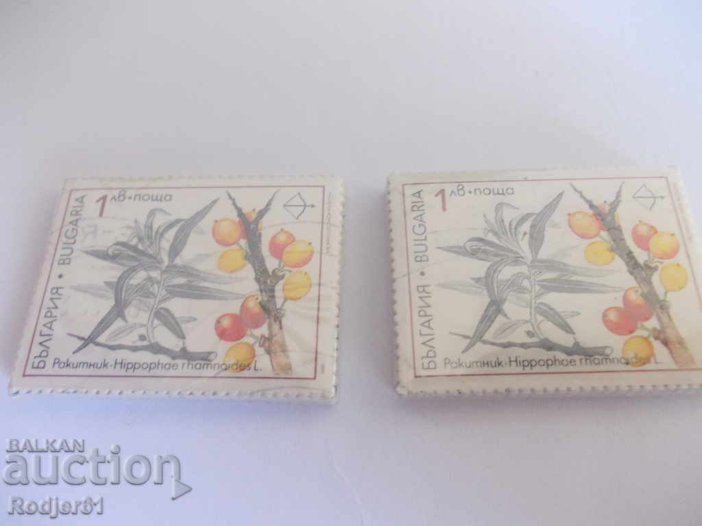 γραμματόσημα, συνδετικά - 1991 Action 2000 - σπάνια φαρμακευτικά φυτά με τιμή 2.00 BGN | € 1.02 γραμματόσημα, συνδετικά - 1991 Action 2000 - σπάνια φαρμακευτικά φυτά με τιμή 2.00 BGN | € 1.02