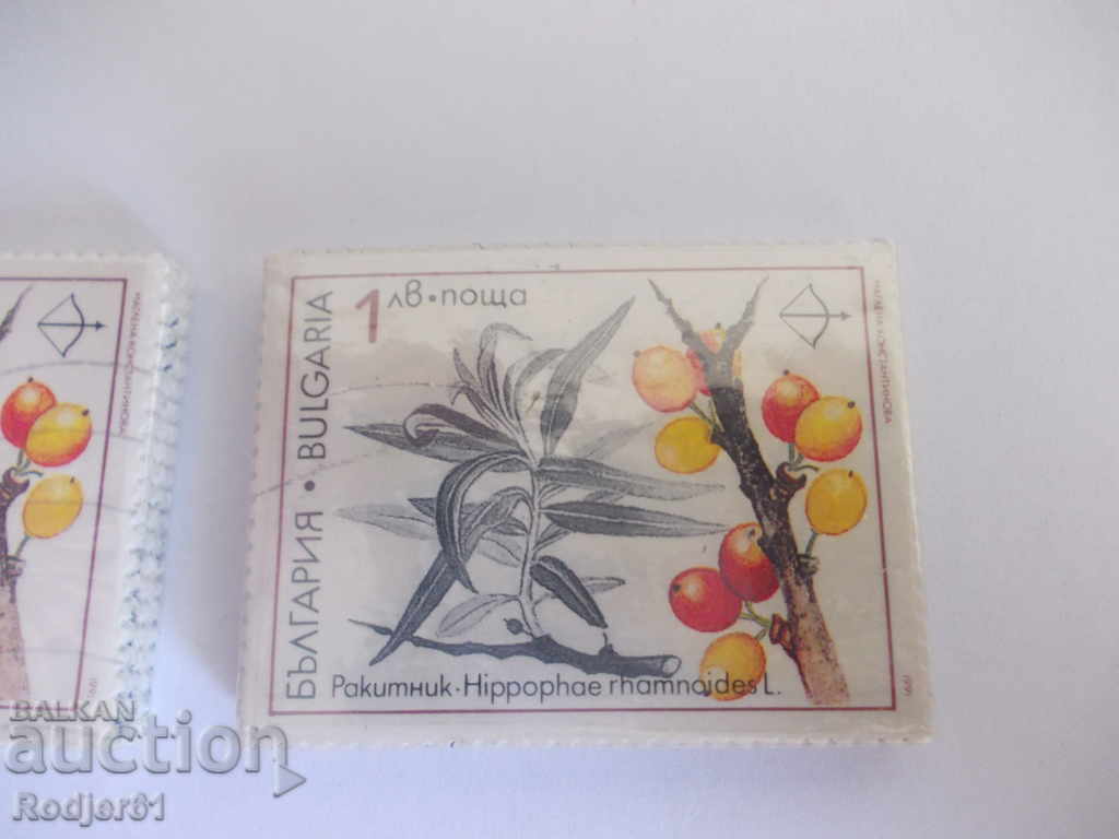 Δημοπρασία γραμματόσημα, συνδετικά - 1991 Action 2000 - σπάνια φαρμακευτικά φυτά Δημοπρασία γραμματόσημα, συνδετικά - 1991 Action 2000 - σπάνια φαρμακευτικά φυτά