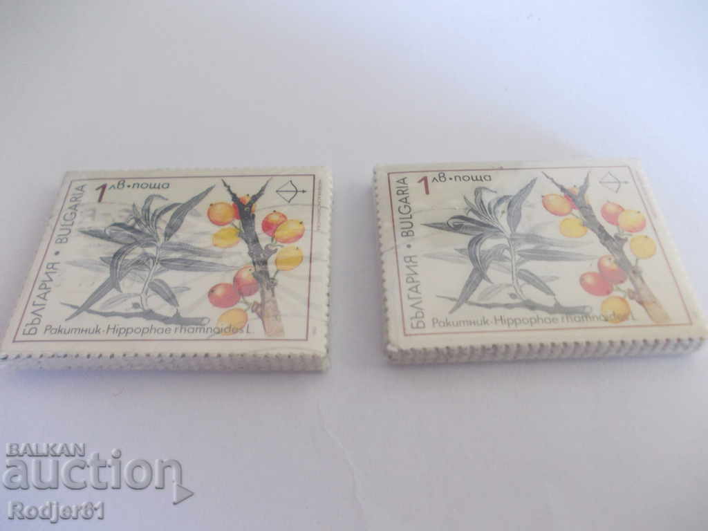 γραμματόσημα, συνδετικά - 1991 Action 2000 - σπάνια φαρμακευτικά φυτά γραμματόσημα, συνδετικά - 1991 Action 2000 - σπάνια φαρμακευτικά φυτά