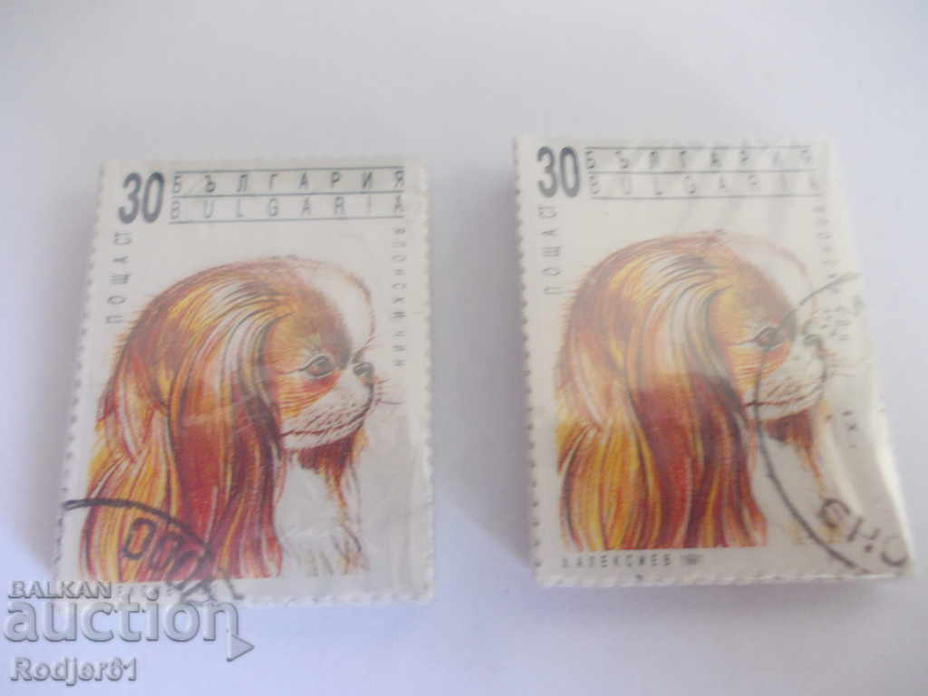 mărci, pachete - 1991 Câini de salon 3945 cu preț € 1.00 | 1.96 BGN