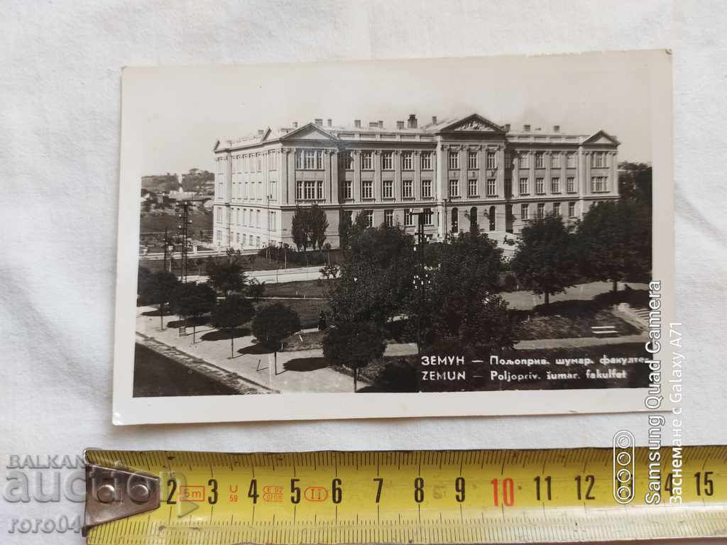 ZEMUN with price 15.00 BGN | € 7.67 ZEMUN with price 15.00 BGN | € 7.67