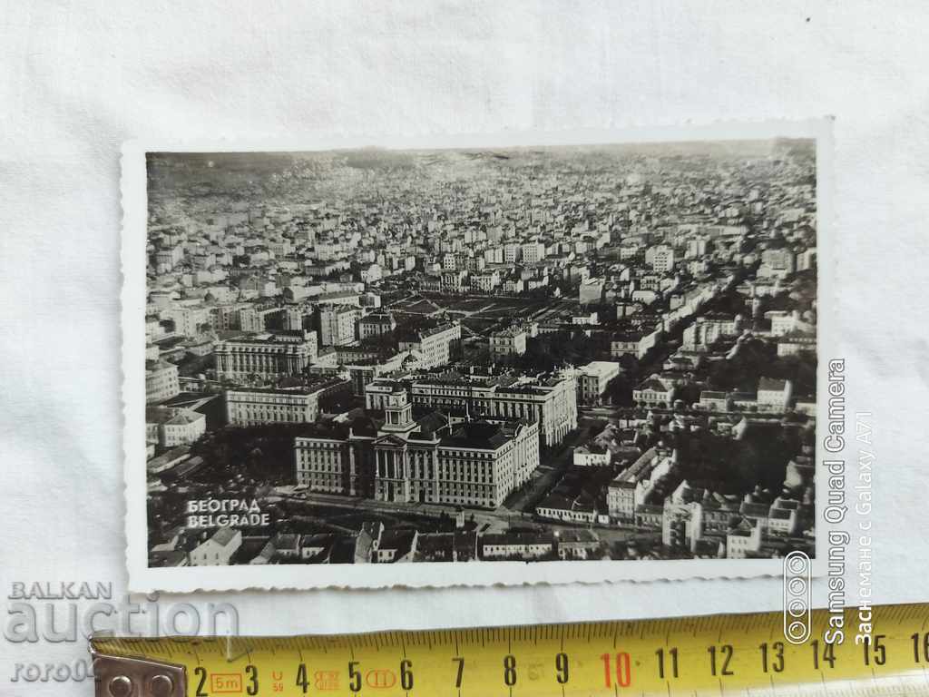 Licitație BELGRAD