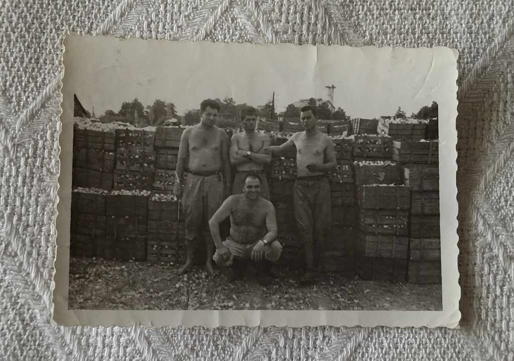 GORNA ORYAHOVICTA CANNERY "PANAYOT ZVIKEV" PHOTO 1962