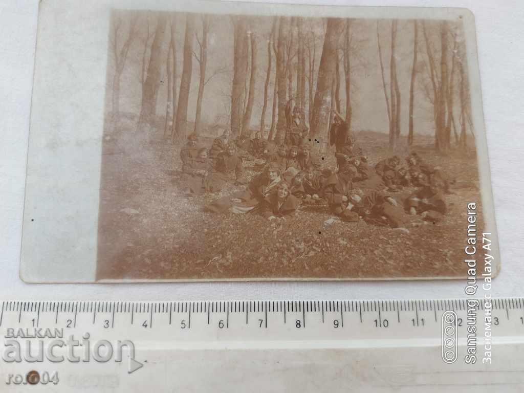 Auction  ПАЗАРДЖИК