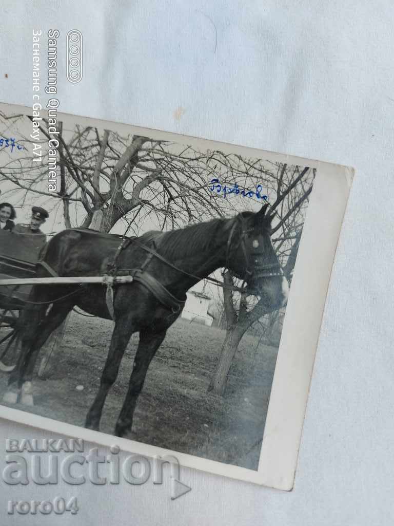 Delivery of ROMAN CHARTER - OFFICER - FAMILY - 1937 Delivery of ROMAN CHARTER - OFFICER - FAMILY - 1937