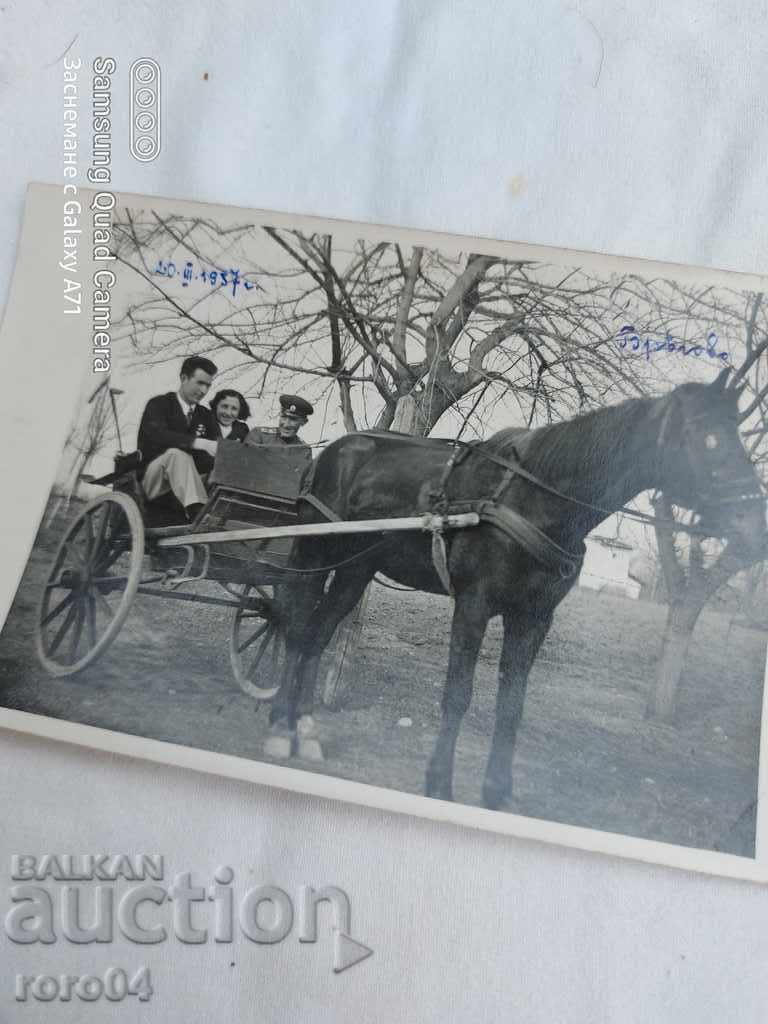 ROMAN CHARTER - OFFICER - FAMILY - 1937 - 5 ROMAN CHARTER - OFFICER - FAMILY - 1937 - 5