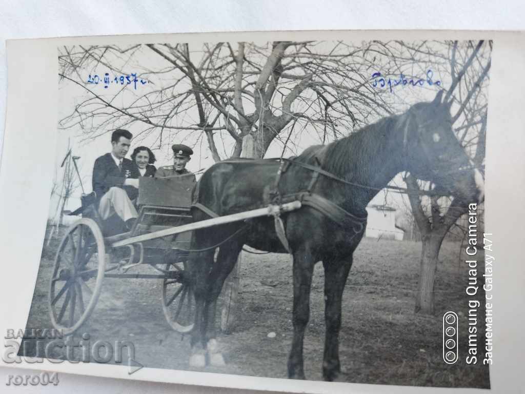 ROMAN CHARTER - OFFICER - FAMILY - 1937 - 6 ROMAN CHARTER - OFFICER - FAMILY - 1937 - 6