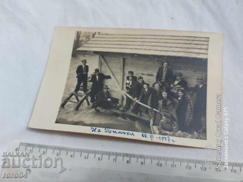 OF TIMOK - 1937 with price 14.99 BGN | € 7.66