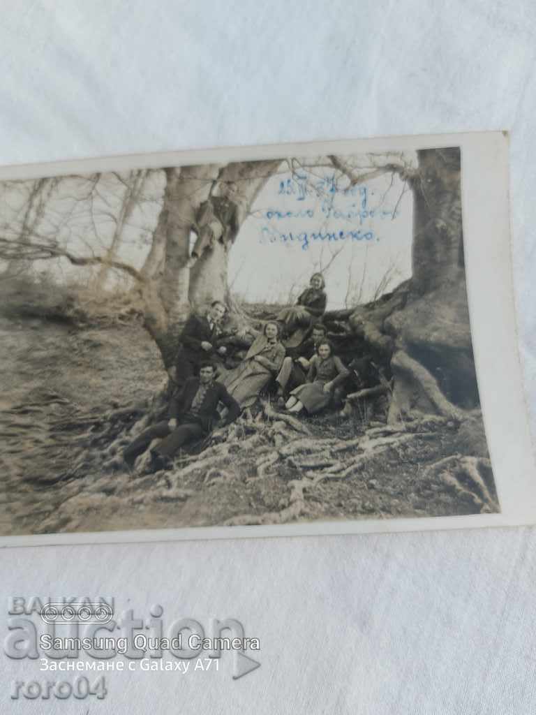 VIDINSKO - 1937 with price 14.99 BGN | € 7.66 VIDINSKO - 1937 with price 14.99 BGN | € 7.66