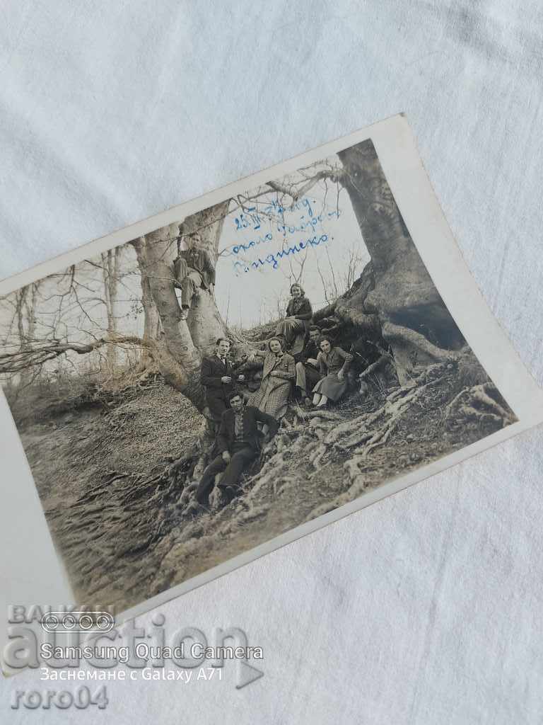 VIDINSKO - 1937 - 5 VIDINSKO - 1937 - 5