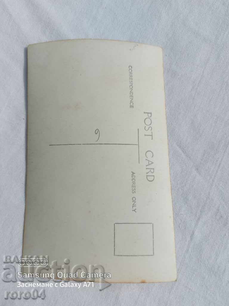 VIDINSKO - 1937 - 6 VIDINSKO - 1937 - 6