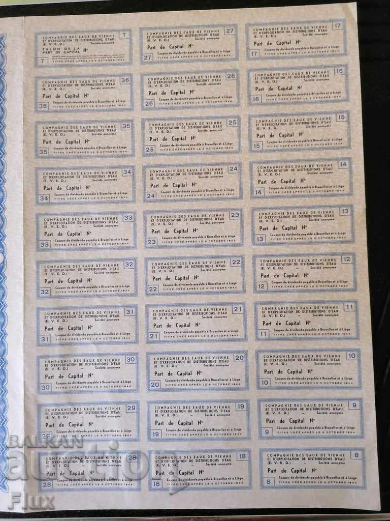 Δράση από το Βέλγιο Εταιρεία του Eaux de Vienne | 1944 - 5