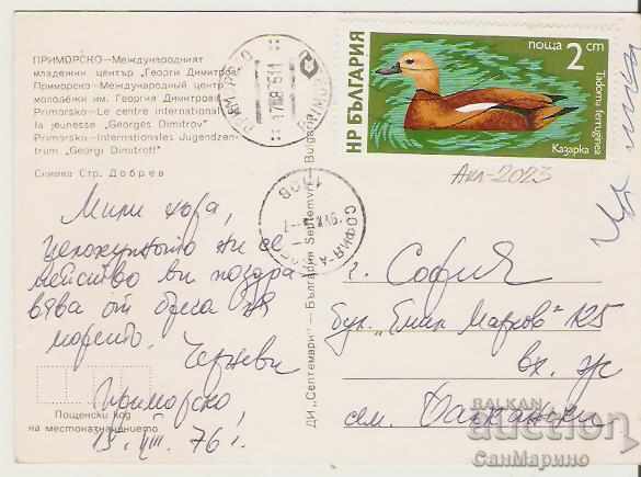 Map Bulgaria Primorsko International Youth Camp 3 * with price 0.70 BGN | € 0.36 Map Bulgaria Primorsko International Youth Camp 3 * with price 0.70 BGN | € 0.36