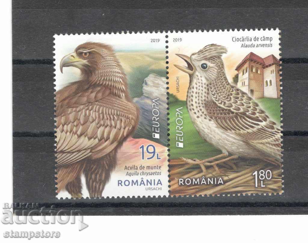 Румъния - Европа 2019 г  Птици