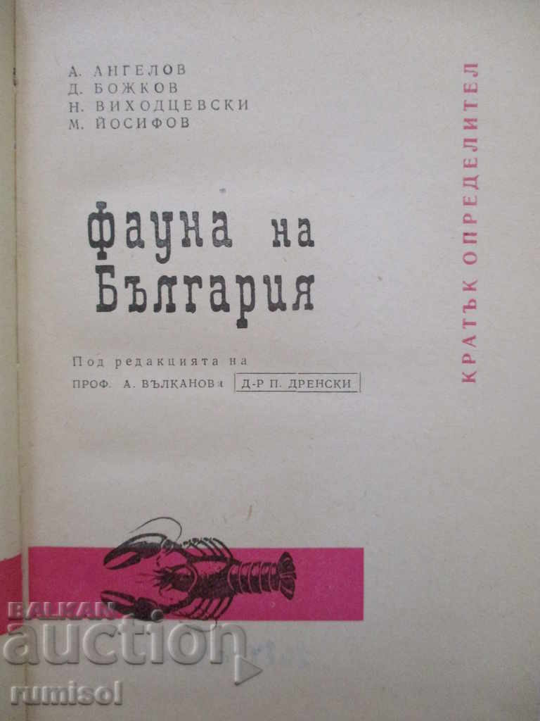 Fauna of Bulgaria - short determinant: Invertebrates with price 13.59 BGN | € 6.95