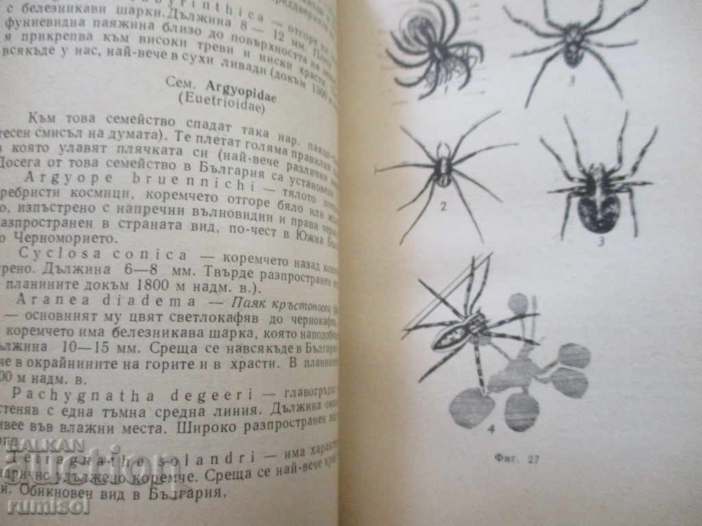 Livrarea Fauna Bulgariei - determinator scurt: Nevertebrate