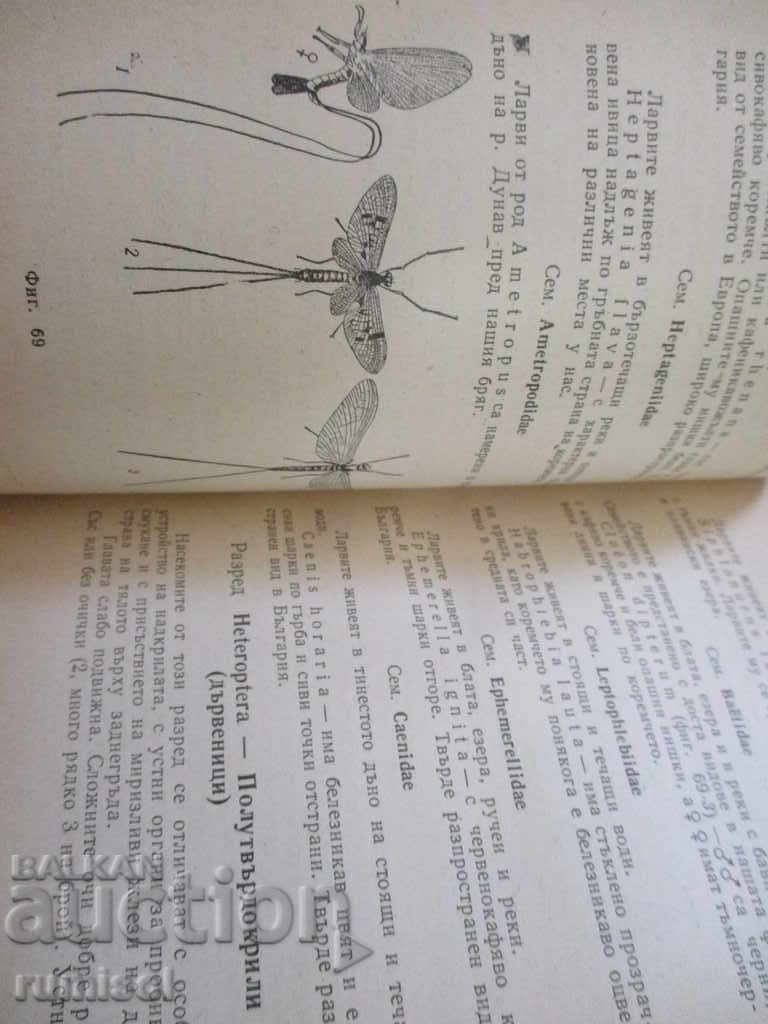Fauna of Bulgaria - short determinant: Invertebrates - 5