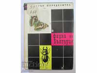 Φαύνα της Βουλγαρίας - σύντομος προσδιοριστής: Ασπόνδυλα