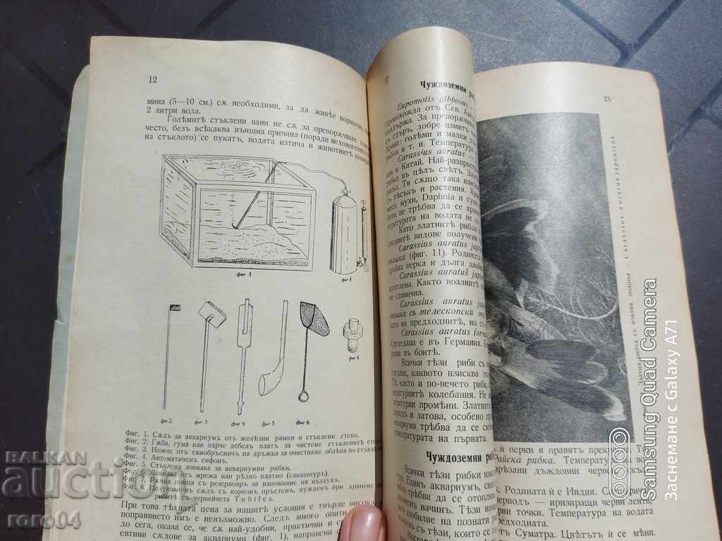 SCHOOL AND HOUSE AQUARIUMS - G. PASPALEV - 5 SCHOOL AND HOUSE AQUARIUMS - G. PASPALEV - 5