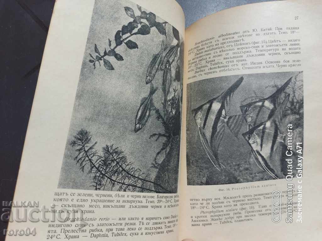 SCHOOL AND HOUSE AQUARIUMS - G. PASPALEV - 6 SCHOOL AND HOUSE AQUARIUMS - G. PASPALEV - 6