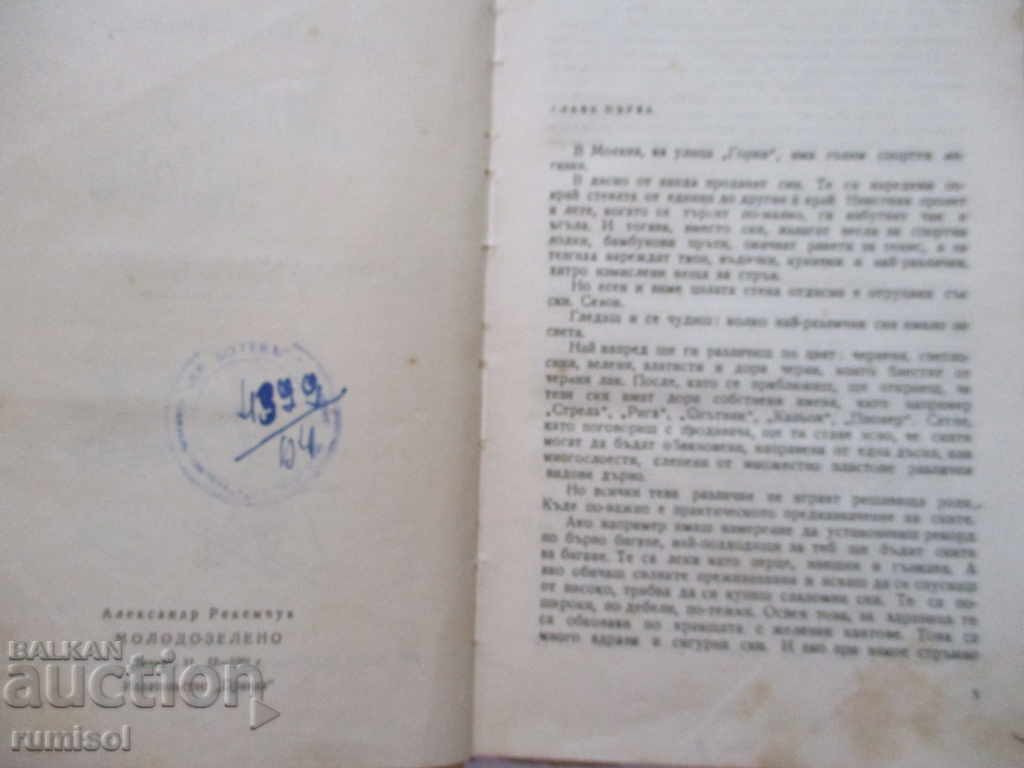 Auction Young-green - Alexander Rekemchuk Auction Young-green - Alexander Rekemchuk