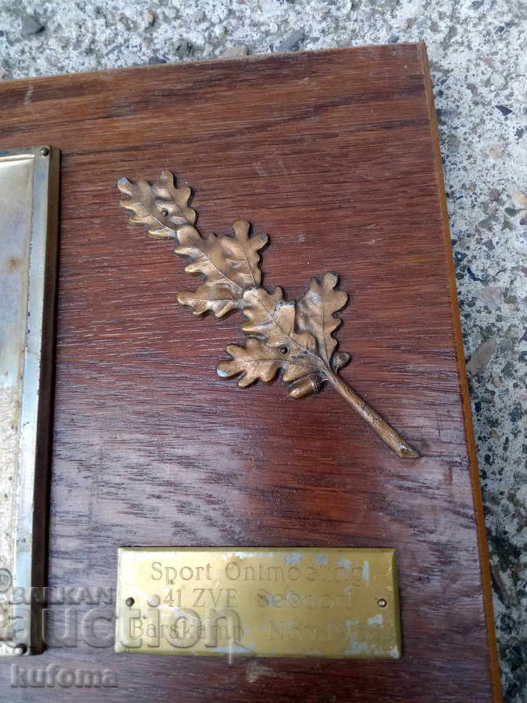 Livrarea Placă de fotbal germană veche