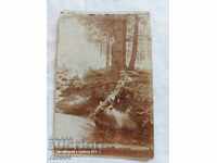 ΣΟΦΙΑ - 1915