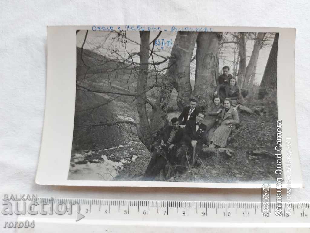 Аукцион РАБРОВО - ВИДИНСКО - 1937 г.