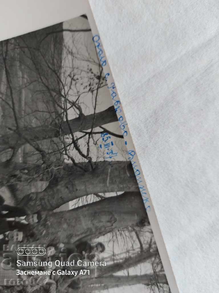 RABROVO - VIDINSKO - 1937 - 5 RABROVO - VIDINSKO - 1937 - 5