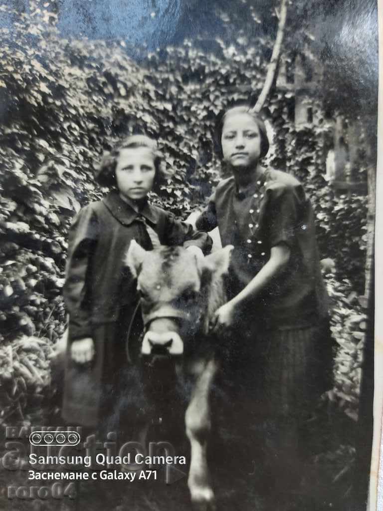 TELE - NADKA, GOVEDARKA - RAYNA, KNYAZHEVO - 1926 with price 9.99 BGN | € 5.11