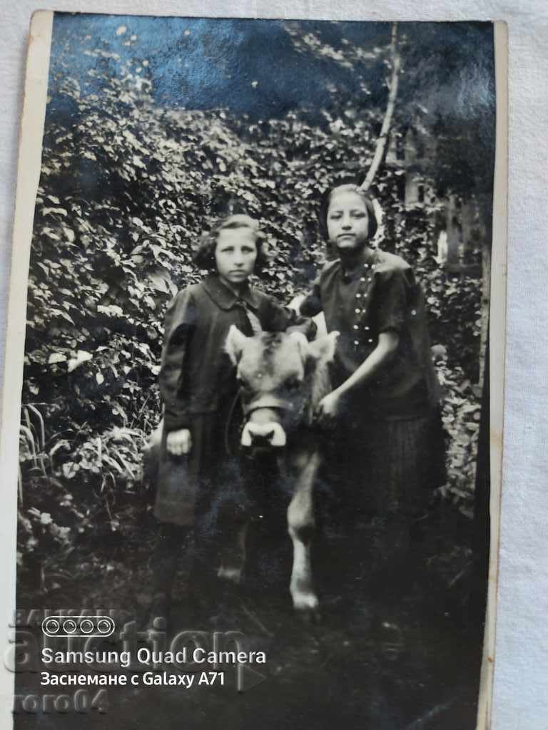 Auction  TELE - NADKA, GOVEDARKA - RAYNA, KNYAZHEVO - 1926