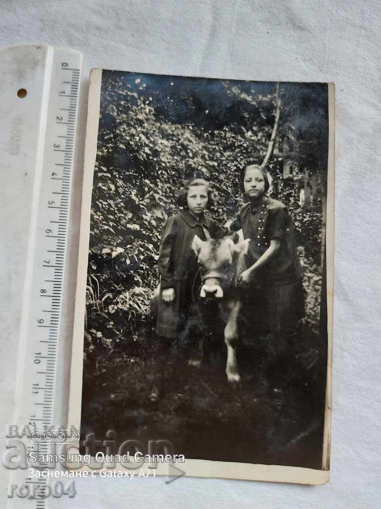 Delivery of TELE - NADKA, GOVEDARKA - RAYNA, KNYAZHEVO - 1926