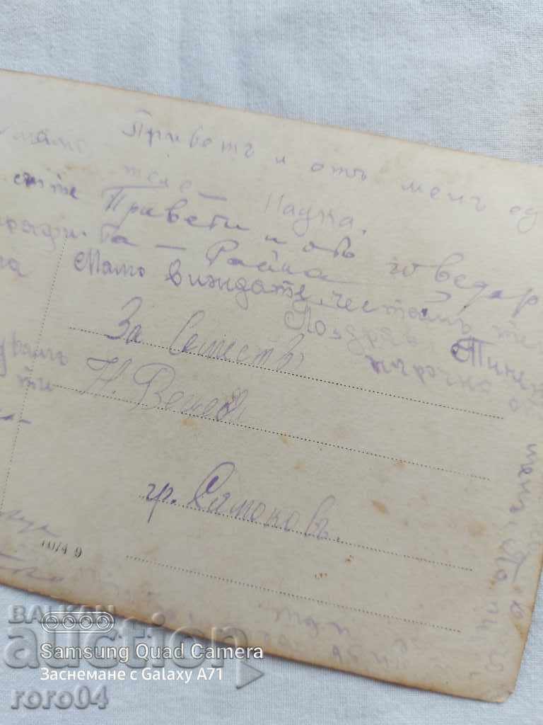 TELE - NADKA, GOVEDARKA - RAYNA, KNYAZHEVO - 1926 - 7 TELE - NADKA, GOVEDARKA - RAYNA, KNYAZHEVO - 1926 - 7